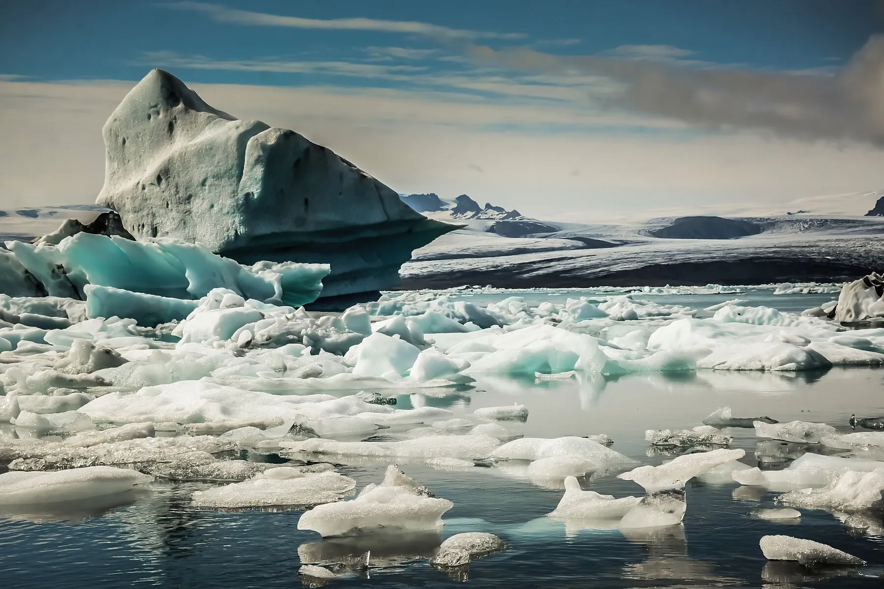 Ice Family - Jokulsarlon, Glacier Lagoon, Iceland
